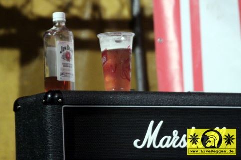 Queens Of Everything (CZ) 5. Mighty Sounds Festival - Blue Stage - Olsi bei Tabor, CZ - 17. Juli 2009 (8).JPG